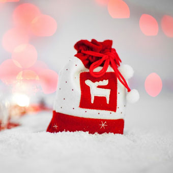 Christmas Bag